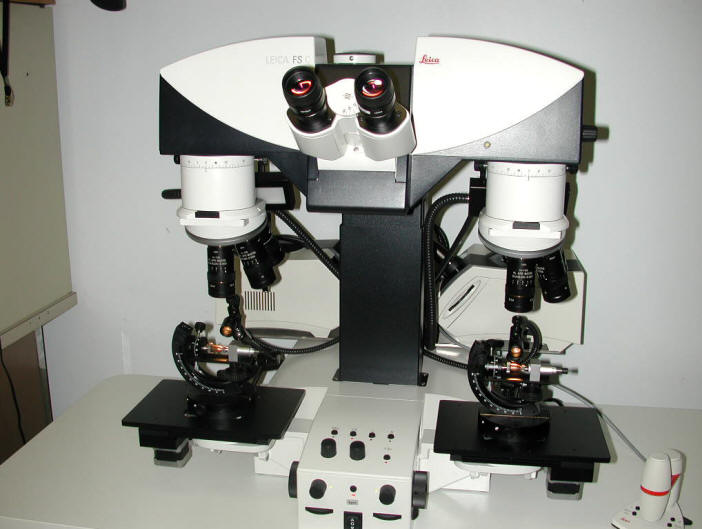 leica comparison microscope